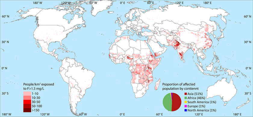 Les concentrations en fluor élevées ne représentent un danger qu’aux endroits où les hommes s’approvisionnent en eau potable non traitée provenant de puits et de pompes souterraines. En Australie par exemple, il n’y a pratiquement aucun risque bien que les valeurs en fluor soient supérieures à la valeur limite en de nombreux endroits. En Afrique et en Asie en revanche, plus de 170 millions de per-sonnes sont concernées. Une version interactive de la carte est disponible sur la plateforme GIS gapmaps.org.