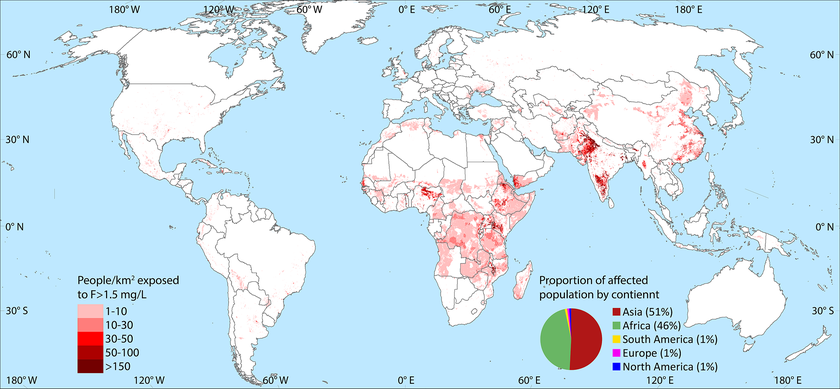 Excessive fluoride concentrations are not only hazardous where people draw untreated drinking water from wells and groundwater pumps. In Australia, for example, practically no-one is at risk, even though fluoride levels in groundwater are above the threshold limits in many places. In Africa and Asia, on the other hand, a total of 170 million people are affected. An interactive version of the map is available on the GIS-Platform gapmaps.org.