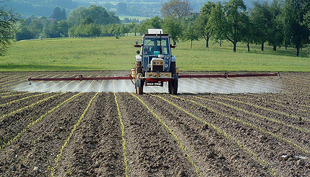 Pesticides from agriculture finish up in water bodies and harm microorganisms. (Photo: Eawag) 
