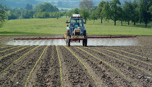 Des pesticides provenant de l’agriculture pénètrent dans les eaux et nuisent aux petits organismes vivants. (Photo : Eawag)