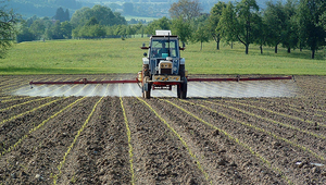 Des pesticides provenant de l’agriculture pénètrent dans les eaux et nuisent aux petits organismes vivants. (Photo : Eawag)