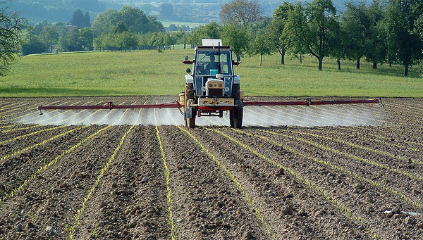 Durch die Landwirtschaft gelangen Pestizide in die Gewässer, was Kleinlebewesen schadet. (Foto: Markus Zeh) 