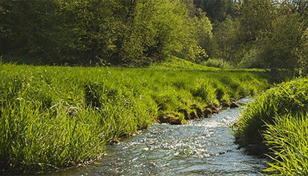 Qualité de l'eau - une idylle trompeuse