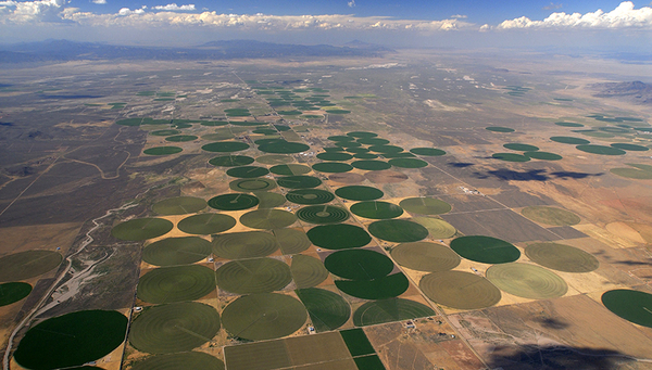Champs irrigués dans le désert d’Utah, États-Unis. Photo : Aufwind-Luftbilder / Visum 