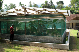 Simplified BSF insect rearing at farm level (Photo: Bart Verstappen)