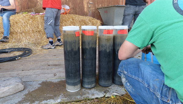 Soeben vom Grund des Baldeggersees geholte Sedimentproben (Foto: ETH, Annika Fiskal) 