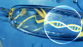 Afin de découvrir de nouvelles substances naturelles fabriquées par des bactéries, les chercheurs ont étudié les données ADN de 1'000 échantillons d’eau provenant de toutes les régions marines du monde. (Image: Helena Klein, ZHdK)