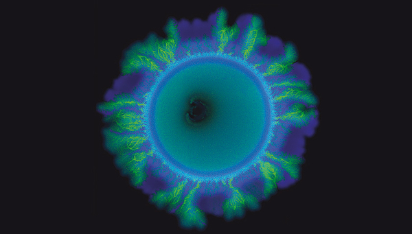 Two bacterial strains self-organise into different spatial patterns. The strains are labeled so they appear as two different colours in this microscope image. The blue strain consumes nitrate and the green strain produces nitrate. (Photo: Yinyin Ma, ETH Zurich, Eawag)