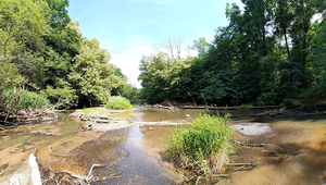 Biodiversity in river systems from 22 European countries increased significantly from 1968, but this development has stagnated since the 2010s. (Photo: Senckenberg)