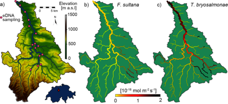 Location of the Wigger case study catchment area and the eDNA sampling points. b) and c) depict the model results of Fredericella sultana (b) and Tetracapsuloides bryosalmonae (c), reconstructed from eDNA measurements.