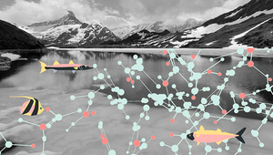 Bachsee, Wikimedia commons und Water-Science-Policy