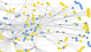 The network of Swiss water forums, which frequently take the form of working groups or subcommittees within larger associations. (Graphic: Fischer et al.)