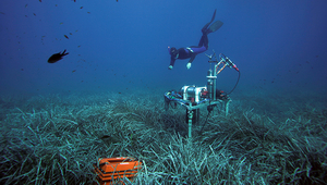 A researcher from the Max Planck Institute for Marine Microbiology taking samples in seagrass meadows in the Mediterranean Sea. The measuring device determines the oxygen content in the seabed. (© Hydra Marine Sciences GmbH)