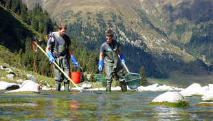 Johannes Hellmann, responsable du travail de terrain (à gauche), et son collaborateur pêchent dans un ruisseau de haute montagne, le Rein da Cristallina, au Tessin. (Photo: Eawag)