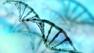 Like a building plan, reference genomes provide a nearly complete genetic code of an organism (Picture: iStock)