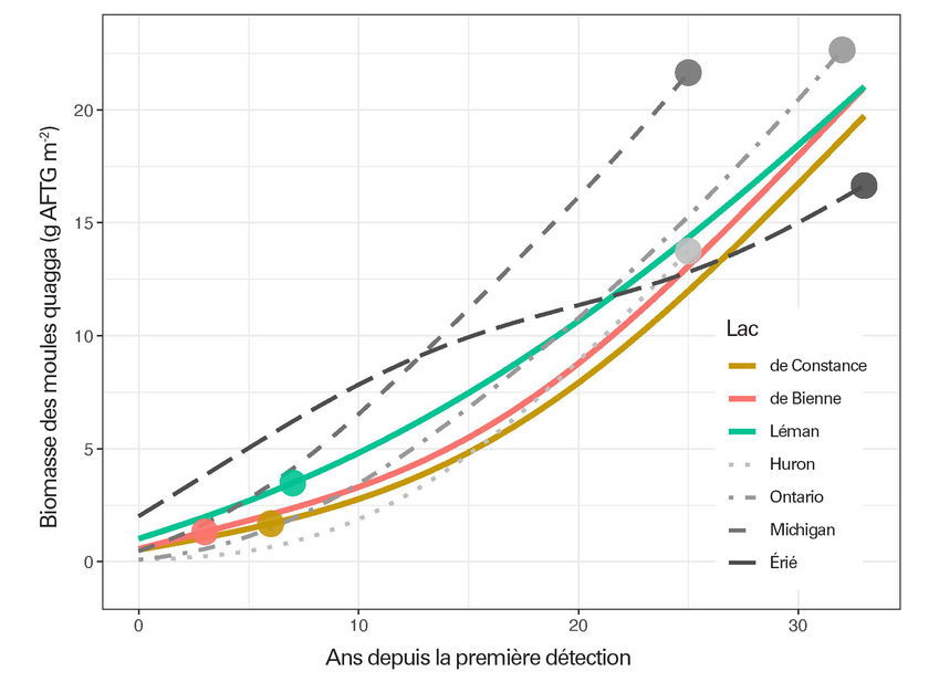 Calcul de la biomasse des moules quagga par mètre carré sur une période de 33 ans depuis sa première détection. Les points représentent la situation en 2022. (Illustration: Kraemer et al., 2023, adaptée)