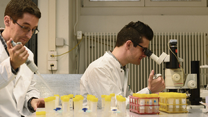 Data collection in small worlds: Video microscopy and automated analysis was used to track individual organisms in artificial landscapes. Left: Florian Altermatt, right: Emanuel Fronhofer. (Photo: Eawag, Peter Penicka)