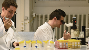 Mit dem Videomikroskop und Computermodellen verfolgen die Wissenschaftler Florian Altermatt (l) und Emanuel Fronhofer einzellige Wimperntierchen in ihrer künstlichen Mini-Welt. (Foto: Eawag, Peter Penicka)