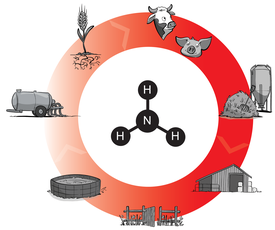 NoMix on the farm could avoid losses and climate-damaging emissions at many points in the nitrogen cycle. (Graphic: Schauer Agrotronic)