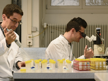 Mit dem Videomikroskop und Computermodellen verfolgen die Wissenschaftler Florian Altermatt (l) und Emanuel Fronhofer einzellige Wimperntierchen in ihrer künstlichen Mini-Welt. (Foto: Eawag, Peter Penicka)