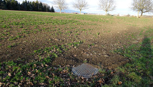 Bouche d’égout à Meyrin GE. (Photo : Eawag, Urs Schönenberger)