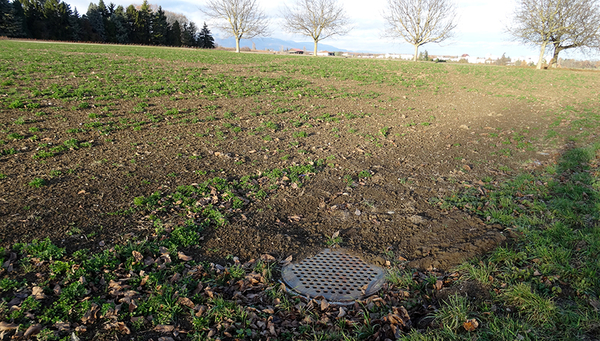 Einlaufschacht bei Meyrin GE. (Foto: Eawag, Urs Schönenberger)