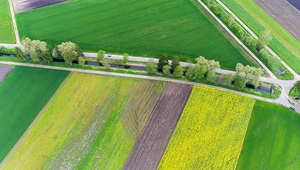 Bäche sind vielerorts stark beeinflusst von der Landwirtschaft. Foto: Markus Zeh