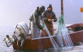 Ruedi Müller à la pêche aux corégones avec l'ancien administrateur lucernois de la pêche et de la chasse, Josef Muggli (Photo : Robert Muggli, archives)