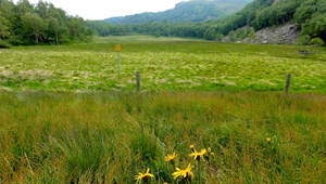 Gola di Lago