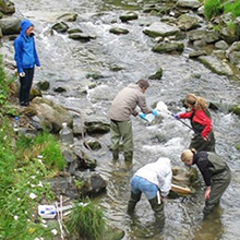 water-quality-and-management