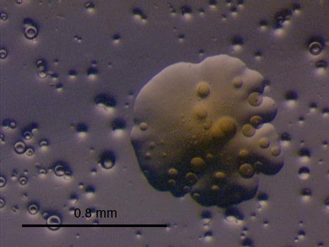 microbial-specialized-metabolism