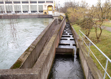 Fischtreppen reduzieren die Barrierewirkung von Wasserkraftwerken – hier beim IBA-Kraftwerk in Aarau; Foto: Armin Peter