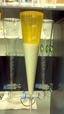 Sedimentation of calcium phosphate in stabilised fresh urine Sedimentation of calcium phosphate in stabilised fresh urine