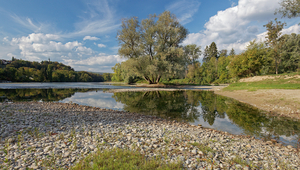 Confluence of the Limmat and Aare (Photo: Jan Ryser/FOEN).