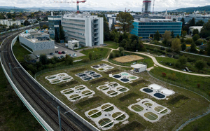 The pond facility at Eawag. (Photo: Thomas Klaper)