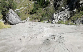 Figure 3. Highly turbid water during the artificial flood at site D, 4 September 2018. (Photo: Gabriele Consoli)