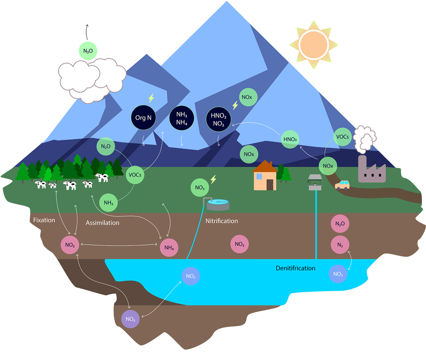 Stickstoff kommt überall auf der Erde in unterschiedlichen Formen vor. So findet man ihn zum Beispiel als molekularen Stickstoff (N2) in der Atmosphäre, in Böden als Ammonium (NH4+) und im Wasser als Nitrat (NO3-). (Grafik: ReCLEAN/EPFL)