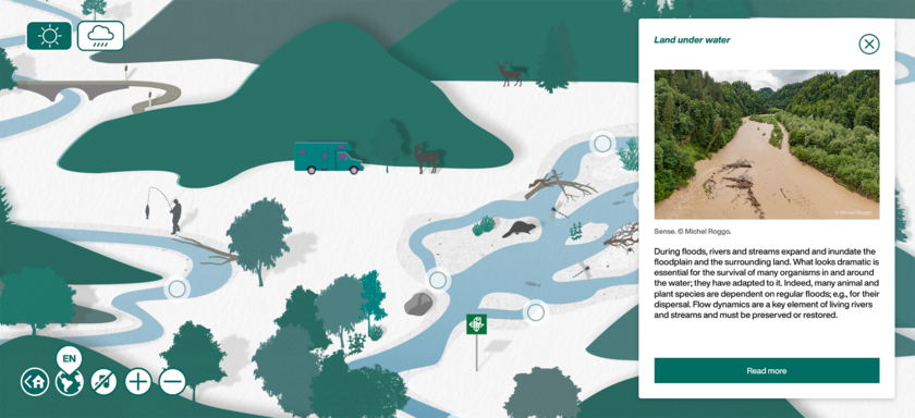 During floods, backwaters or side channels provide important refugia for riverine organisms. Whether dynamic river widening improves the availability of such refugia essentially depends on bedload supply. (Excerpt from the interactive graphic at www.rivermanagement.ch) 
