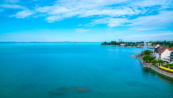 Nährstoffveränderungen, invasive Arten und der Klimawandel beeinflussen das Ökosystem im Bodensee stark. (Foto: Simon Dux Media/Shutterstock)