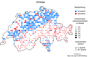 Vorkommen der Käferfamilie Elmidae in der Schweiz in den Biodiversitätsmonitoringdaten und im Modell, grosse blaue Punkte und kleine rote Punkte zeigen eine gute Übereinstimmung zwischen Beobachtung und Modell.