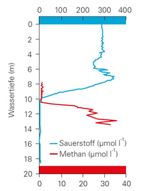 1) Evolution typique des concentrations d'oxygène et de méthane dans le lac de Cadagno. La dégradation du méthane se produit dans une couche assez fine entre 10 et 13 m de profondeur. (Data: Eawag / MPI-Bremen)