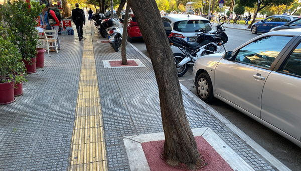 Les arbres qui ont peu de place pour absorber l'eau de surface meurent de soif et ne contribuent guère à rafraîchir l'environnement. (Photo : Lucas Gobatti)
