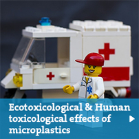 Ecotoxicological and Humantoxicological effects of microplastics