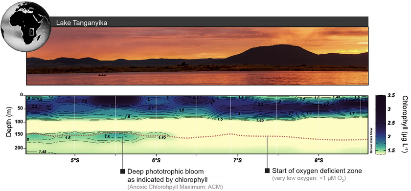 Lake Tanganyika, which is located in east Africa, contains a deep bacterial bloom that is present at 150 m depth, as indicated by the chlorophyll peak (bottom panel). The dotted contour line indicates 1 μM of oxygen, which denotes the start of the oxygen-deficient zone. Photo: Cameron Callbeck, Chlorophyll profile: adapted from the original manuscript