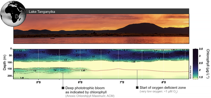 Der Tanganjikasee in Ostafrika enthält eine tiefe Bakterienblüte in 150 m Tiefe, wie durch den Chlorophyll-Peak (unteres Feld) angezeigt wird. Die gepunktete Konturlinie zeigt 1 μM Sauerstoff an, was den Beginn der sauerstoffarmen Zone kennzeichnet. Foto: Cameron Callbeck, Chlorophyllprofil: aus dem Originalmanuskript übernommen.  