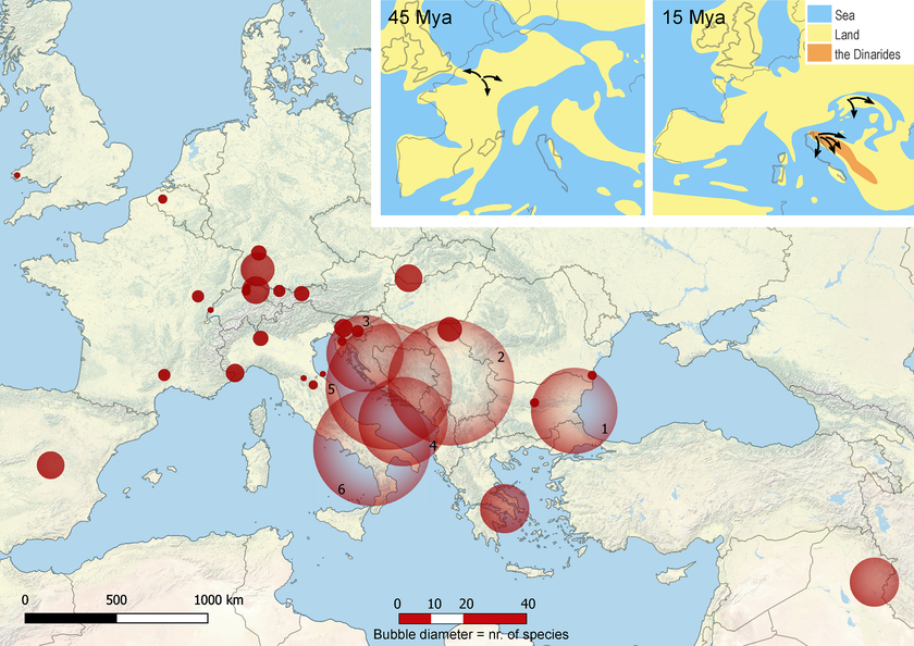 Diffusion géographique des amphipodes Niphargus. 