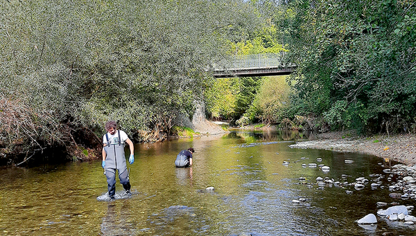 Sampling on the Glatt near Oberbüren. (Photo: Daria Filatova)