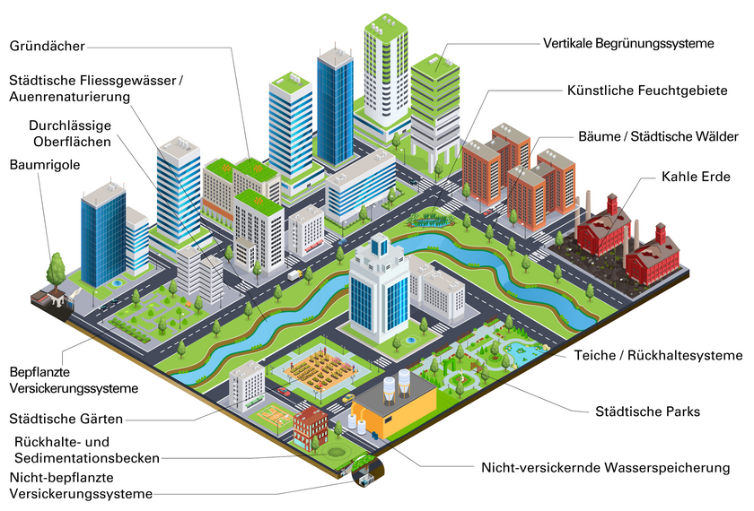 Beispiele für blau-grüne Infrastrukturen (Grafik: Cook, Good, Moretti, Kremer, Wadzuk, Traver, and Smith (In revision) “Towards the intentional, multifunctional design of urban green infrastructure: a paradox of choice?” Nature Urban Sustainability)