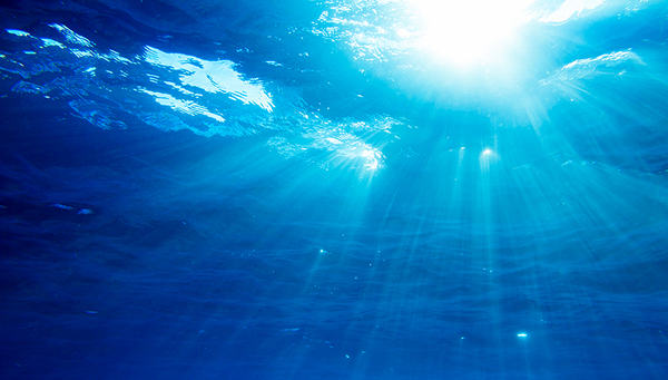 Blaue Schatzkiste: Der offene Ozean beherbergt eine riesige Zahl von Mikroorganismen, die ein bedeutendes Reservoir für Naturstoffe darstellen. (Foto: iStock) 