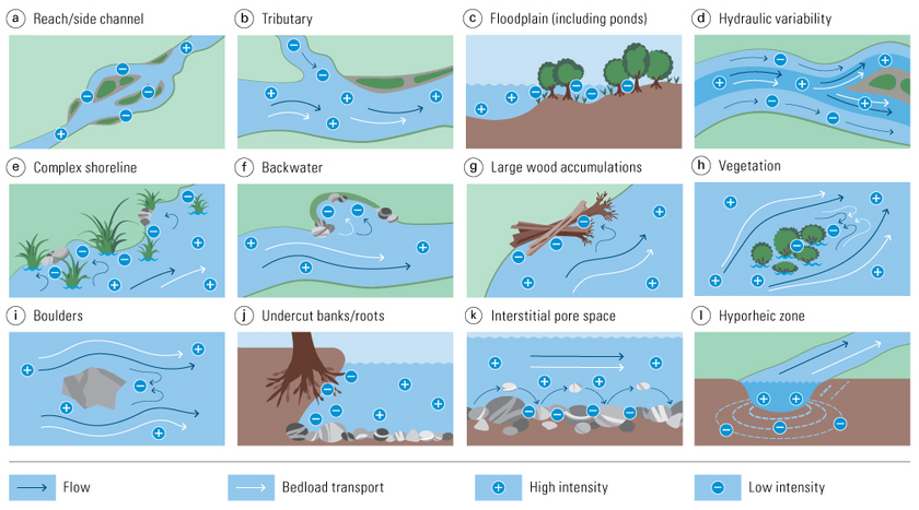 Structures that can be used as refugia in river systems. (Image: Rachelly et al. in Federal Office for the Environment, Publisher (2023). Riverscape – sediment dynamics and connectivity. Practice-oriented research in hydraulic engineering and ecology. Environmental Studies No 2302. Federal Office for the Environment FOEN, Bern. )